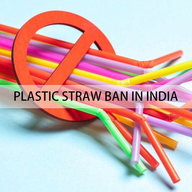 India Emerges as the Leading Manufacturer of Paper Straws Following Plastic Ban